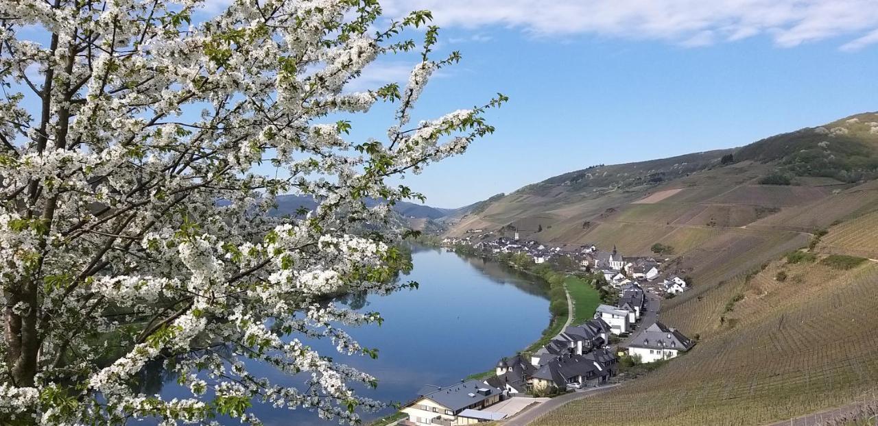 Mosel-Appartements Nehren Zell an der Mosel Bagian luar foto