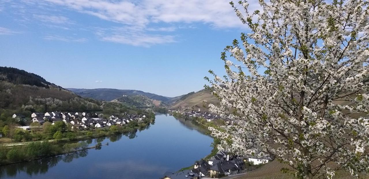 Mosel-Appartements Nehren Zell an der Mosel Bagian luar foto