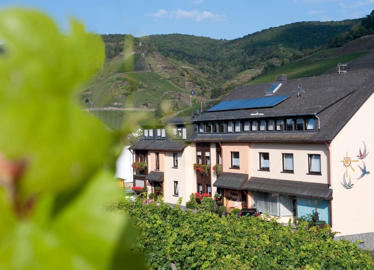 Mosel-Appartements Nehren Zell an der Mosel Bagian luar foto