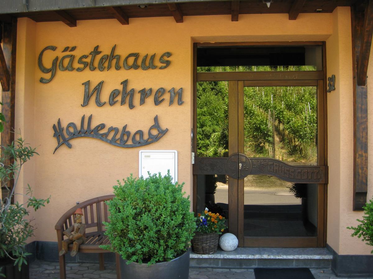 Mosel-Appartements Nehren Zell an der Mosel Bagian luar foto